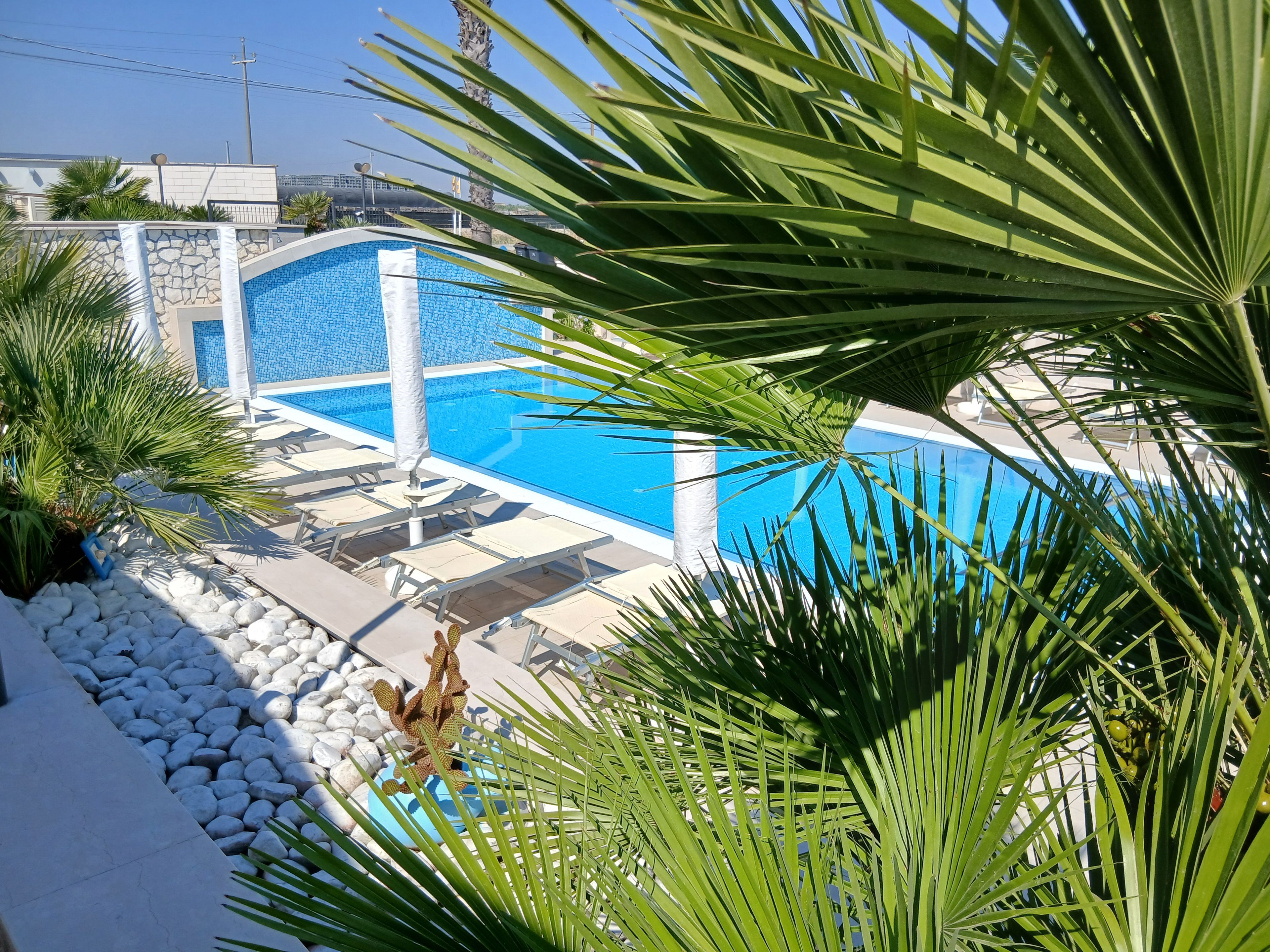 A swimming pool with lounge chairs and palm trees.