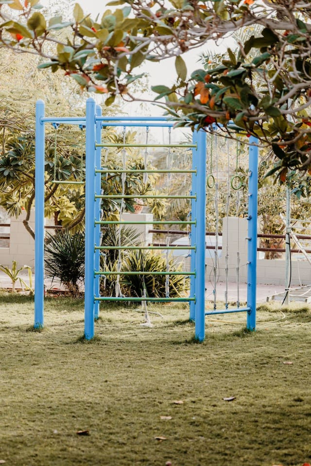 Una estructura metálica azul para escalar en un césped con diversas plantas y un edificio al fondo.