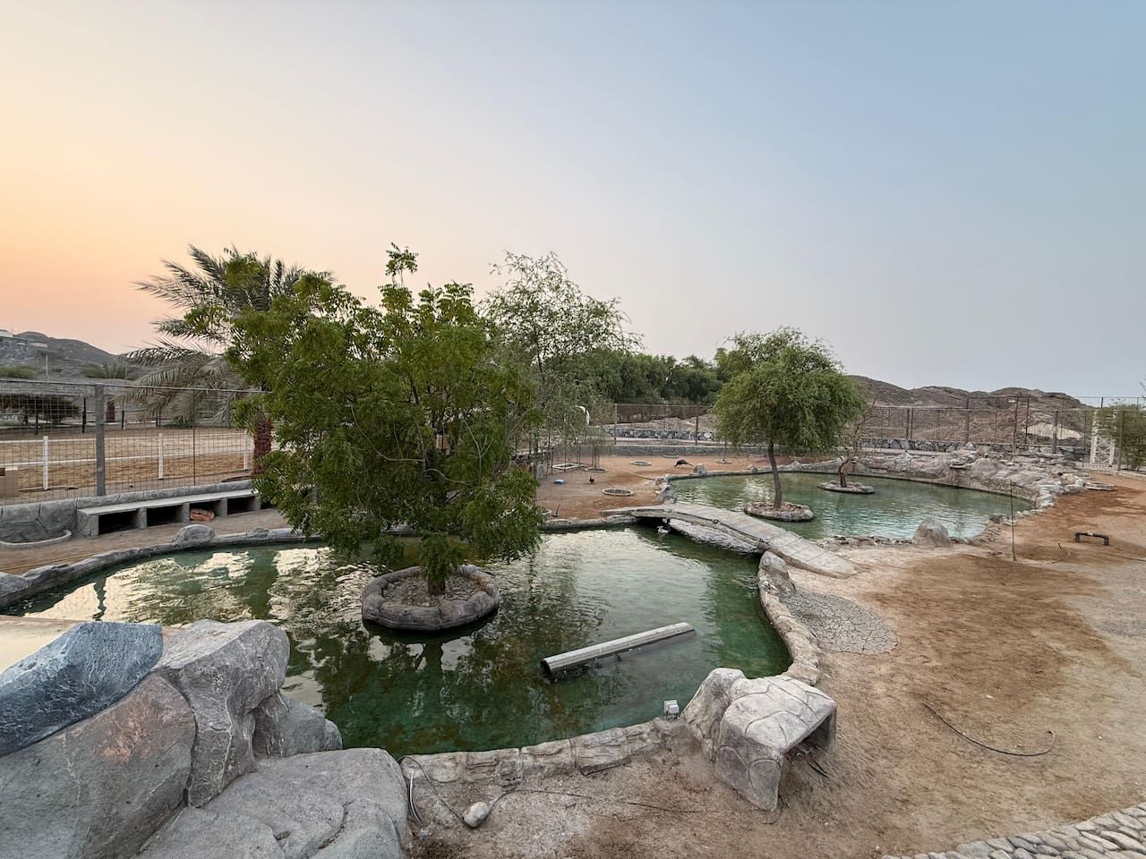 A zoo enclosure with a water feature, rocks, and trees.