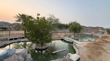 A zoo enclosure with a water feature, rocks, and trees.