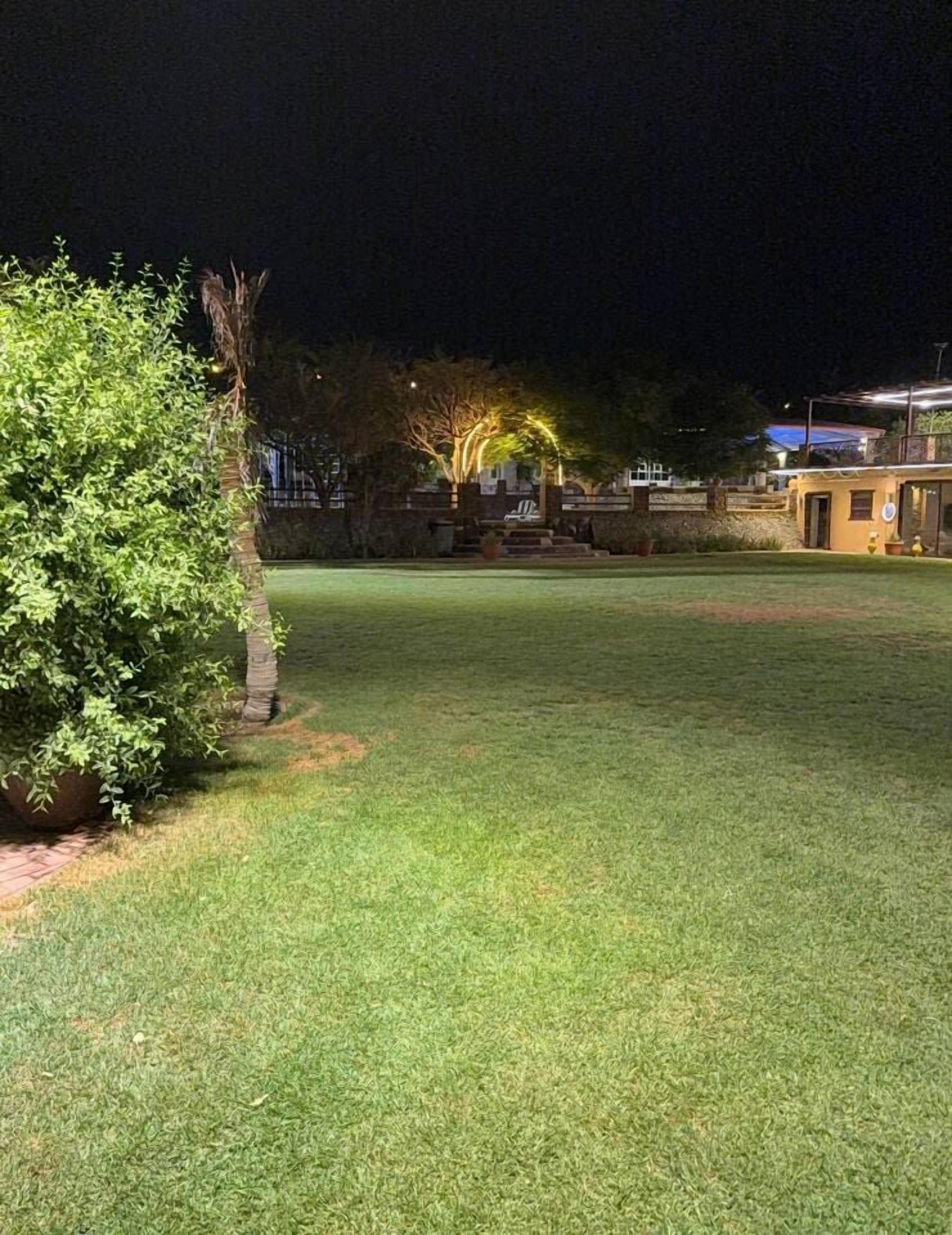 Un espacio exterior bien iluminado con césped, un árbol pequeño y una edificación al fondo.