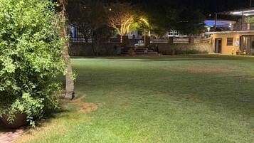 Un espacio exterior bien iluminado con césped, un árbol pequeño y una edificación al fondo.