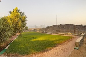 A grassy field with a stone wall and a metal fence.