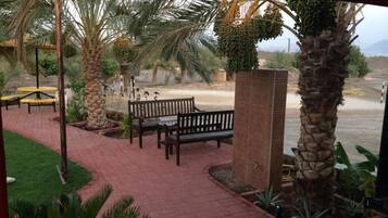 An outdoor patio area with benches, palm trees, and a brick pathway.