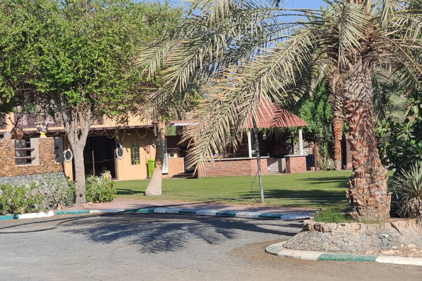 A residential area with a paved driveway, a house with a red roof, and palm trees.