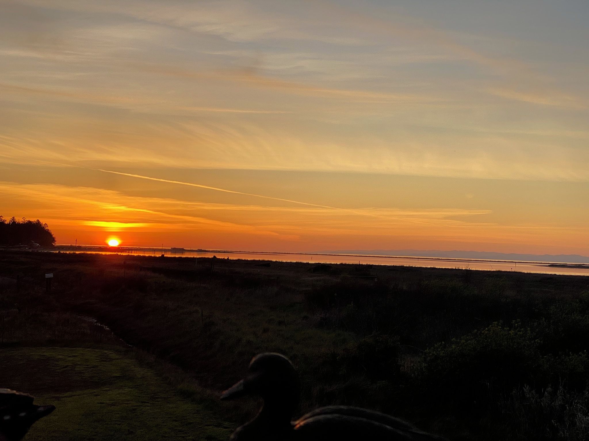 A sunset over a flat landscape with a body of water in the distance and a bridge crossing.