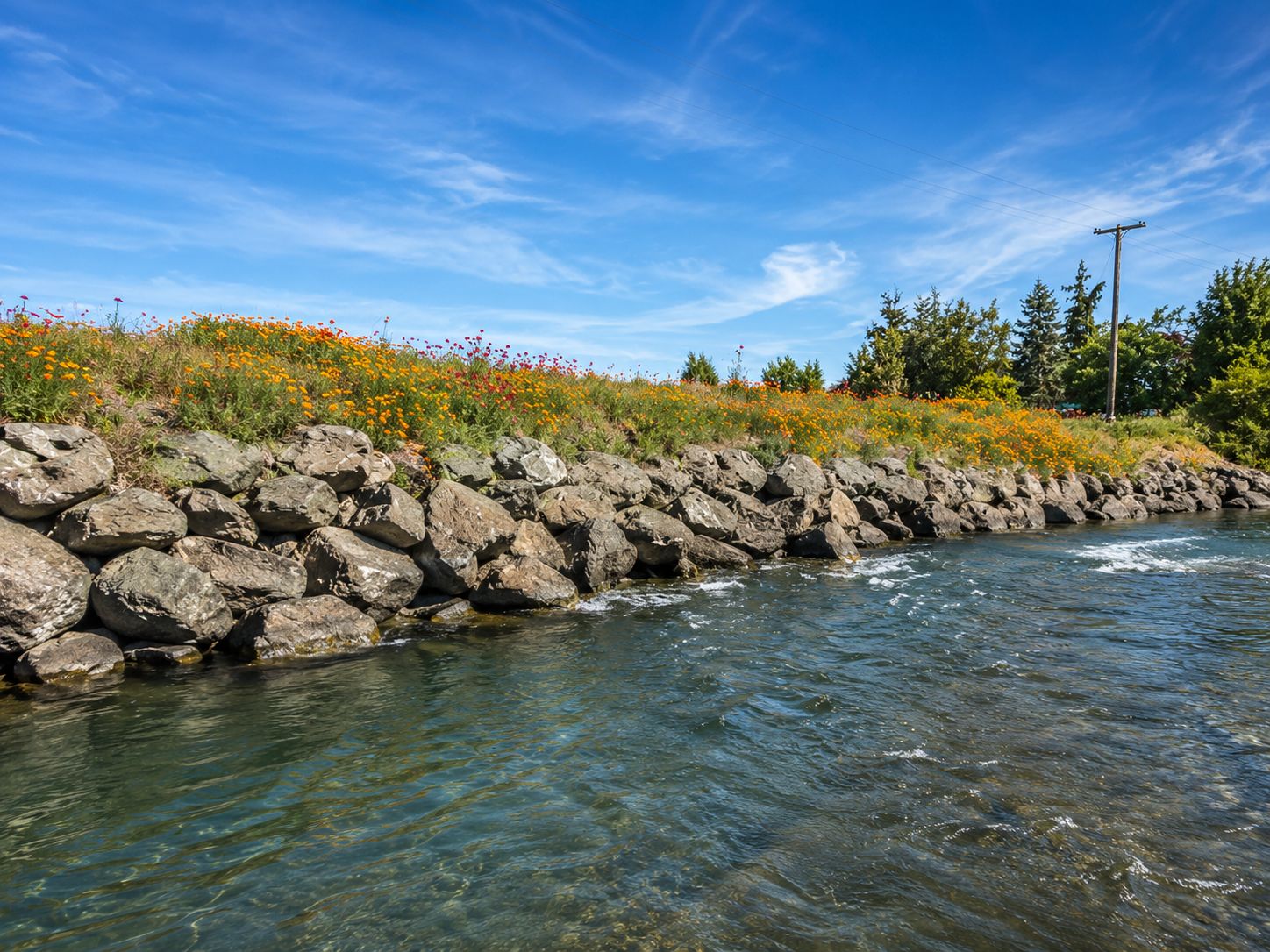 Une rivière aux eaux claires, bordée d’une rive rocheuse et d’une rangée de fleurs sauvages aux couleurs vives.