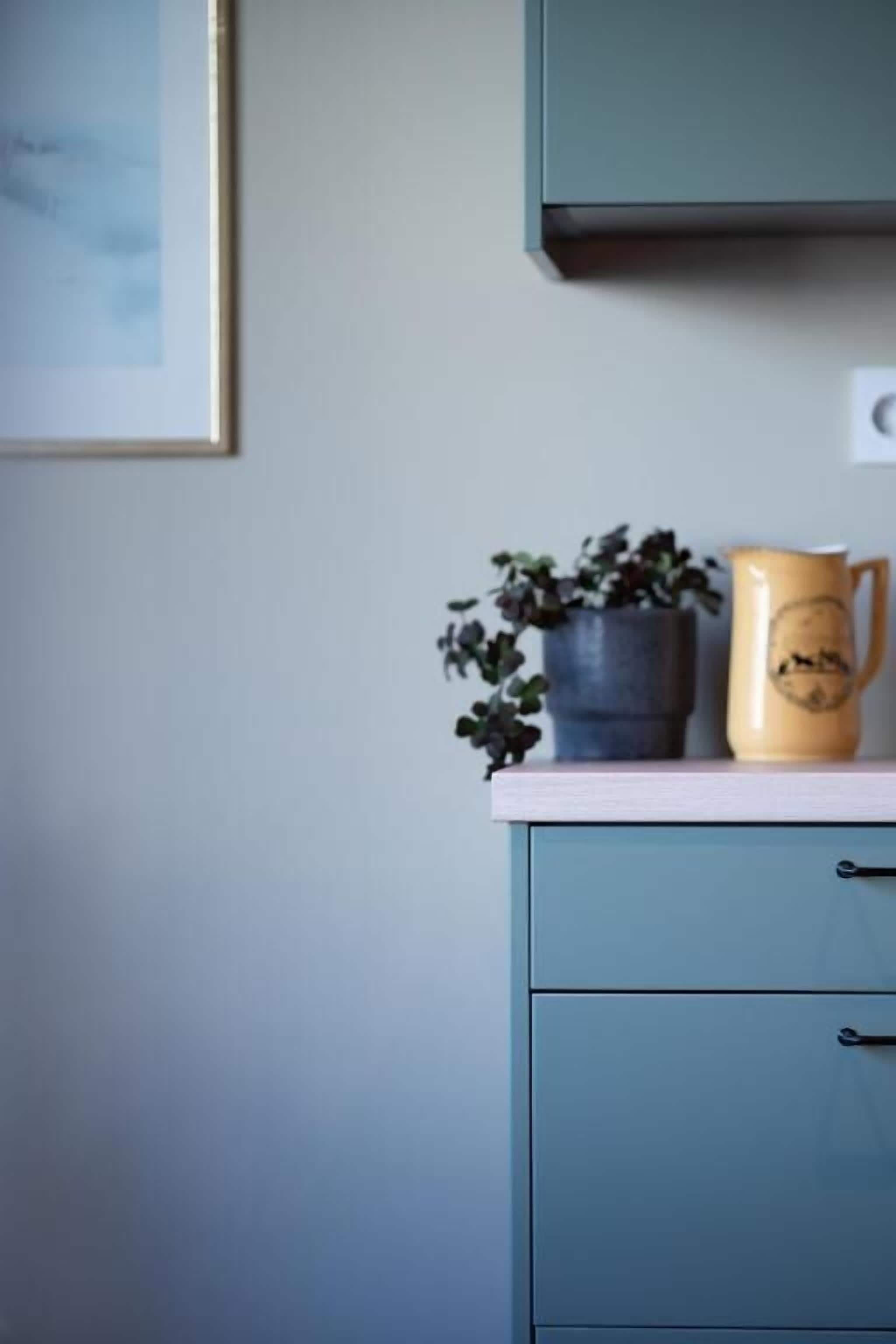 A kitchen with a blue cabinet, a potted plant, and a mug on the counter.