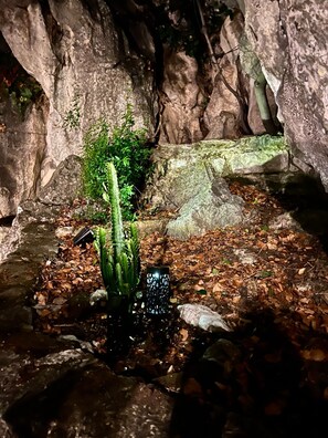 Eine Höhle mit Wasserfall, Felsen und einer Kakteepflanze.