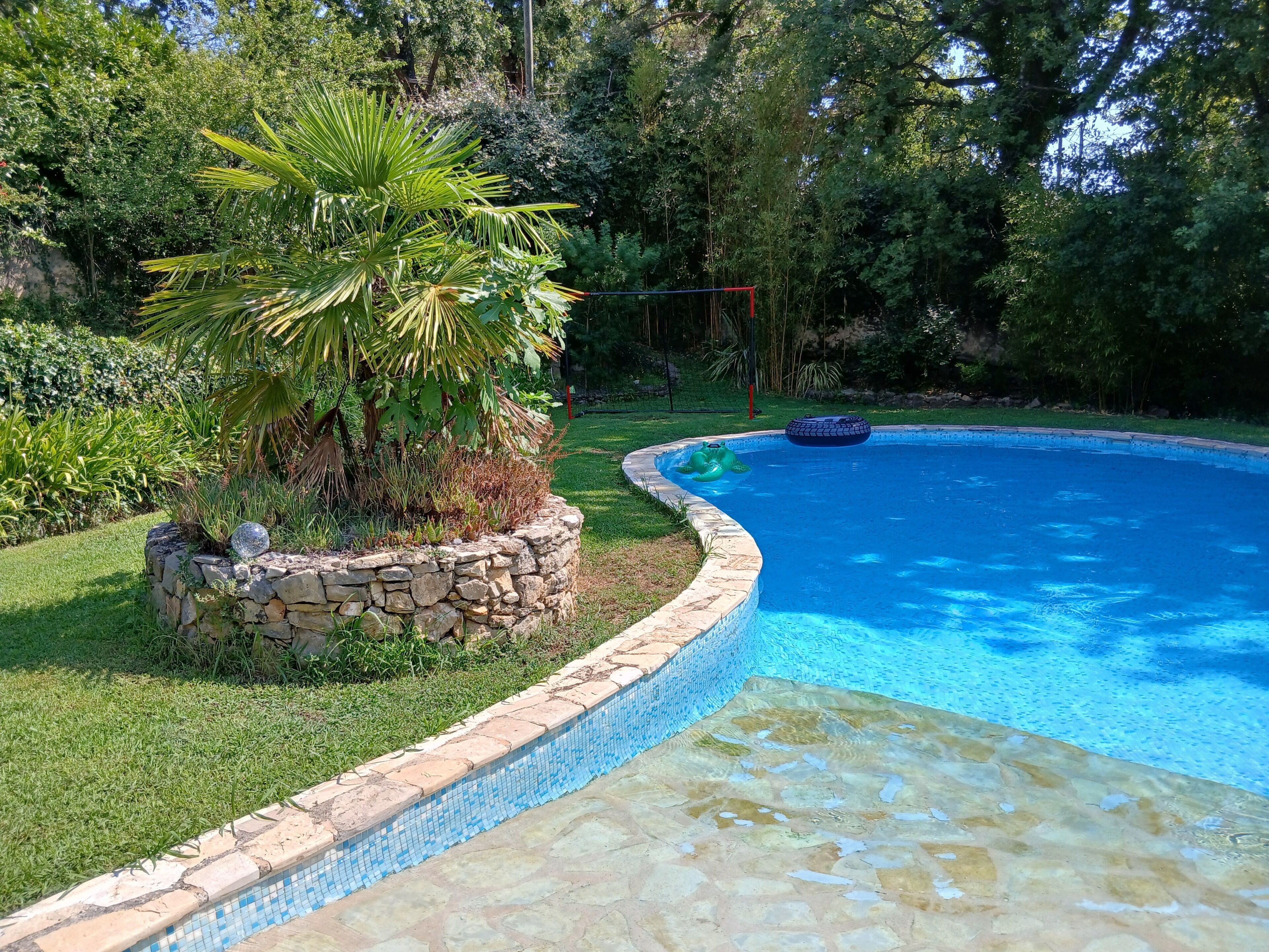 A swimming pool with a stone border, surrounded by lush greenery and a stone wall.
