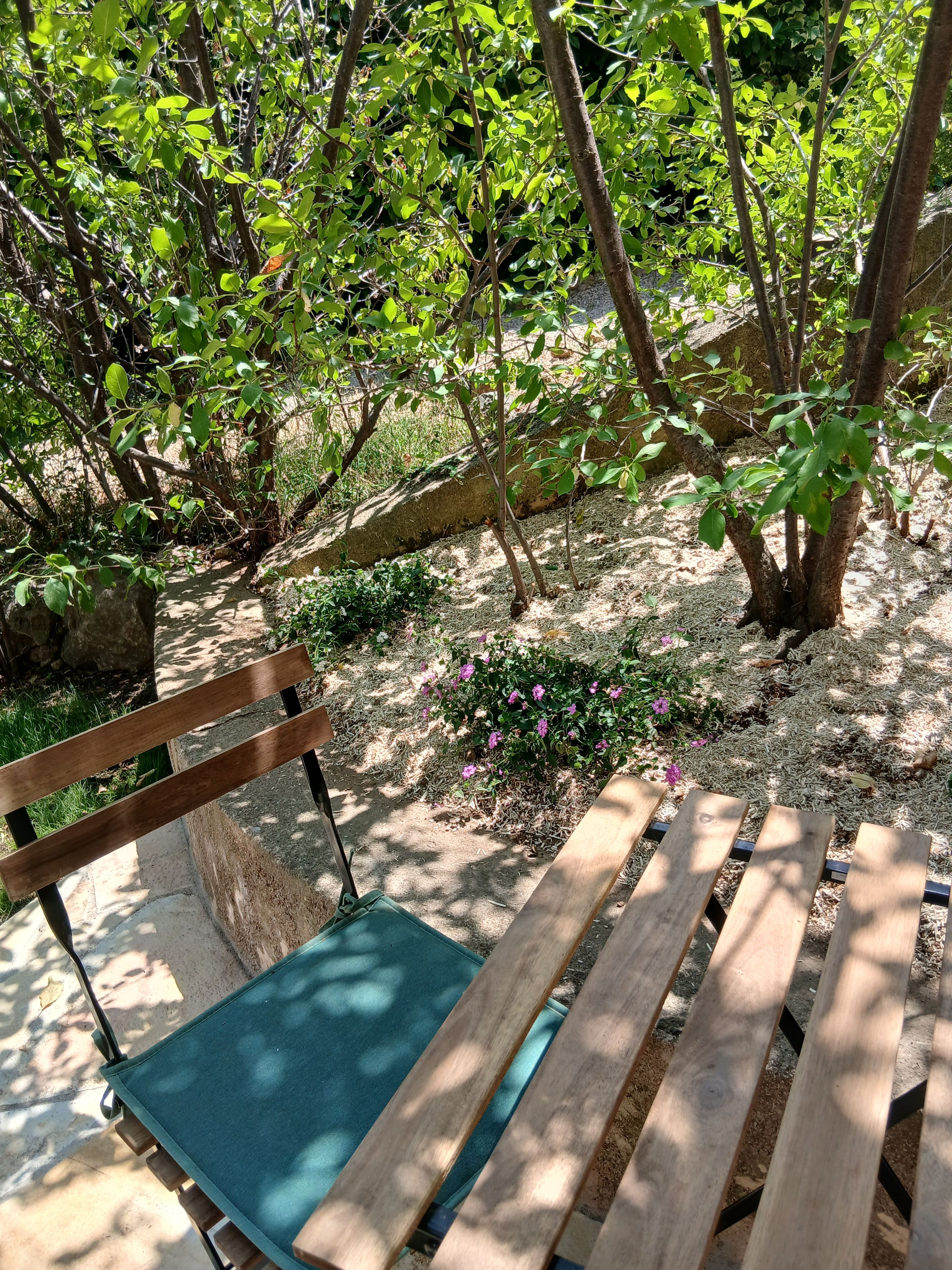 A wooden bench with a green cushion in a shaded garden area with trees and flowering plants.