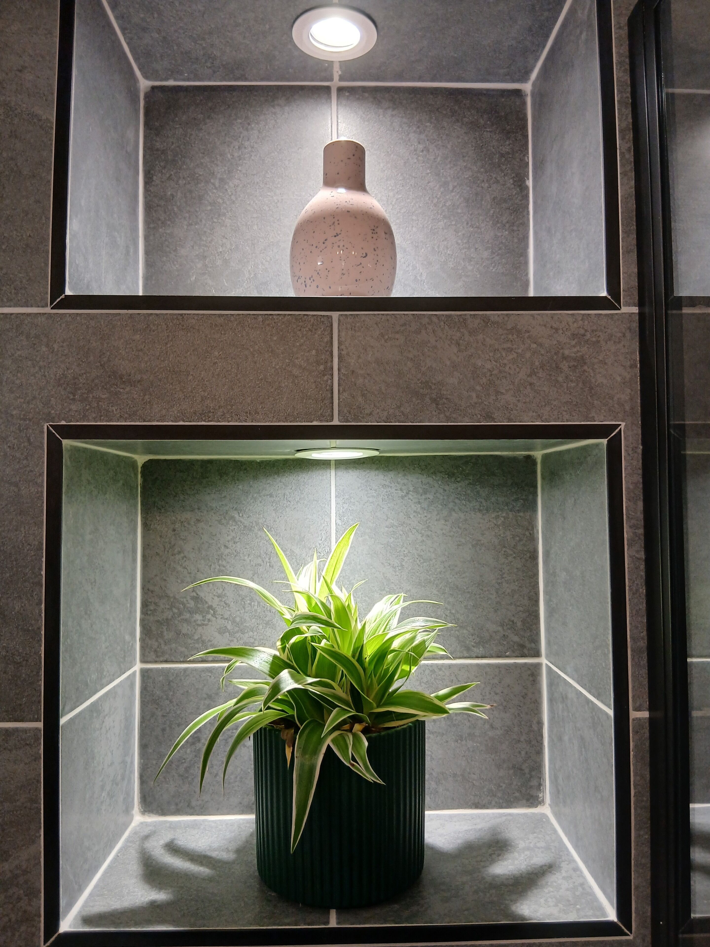Un baño con un estante empotrado que contiene un jarrón decorativo y una planta en maceta.