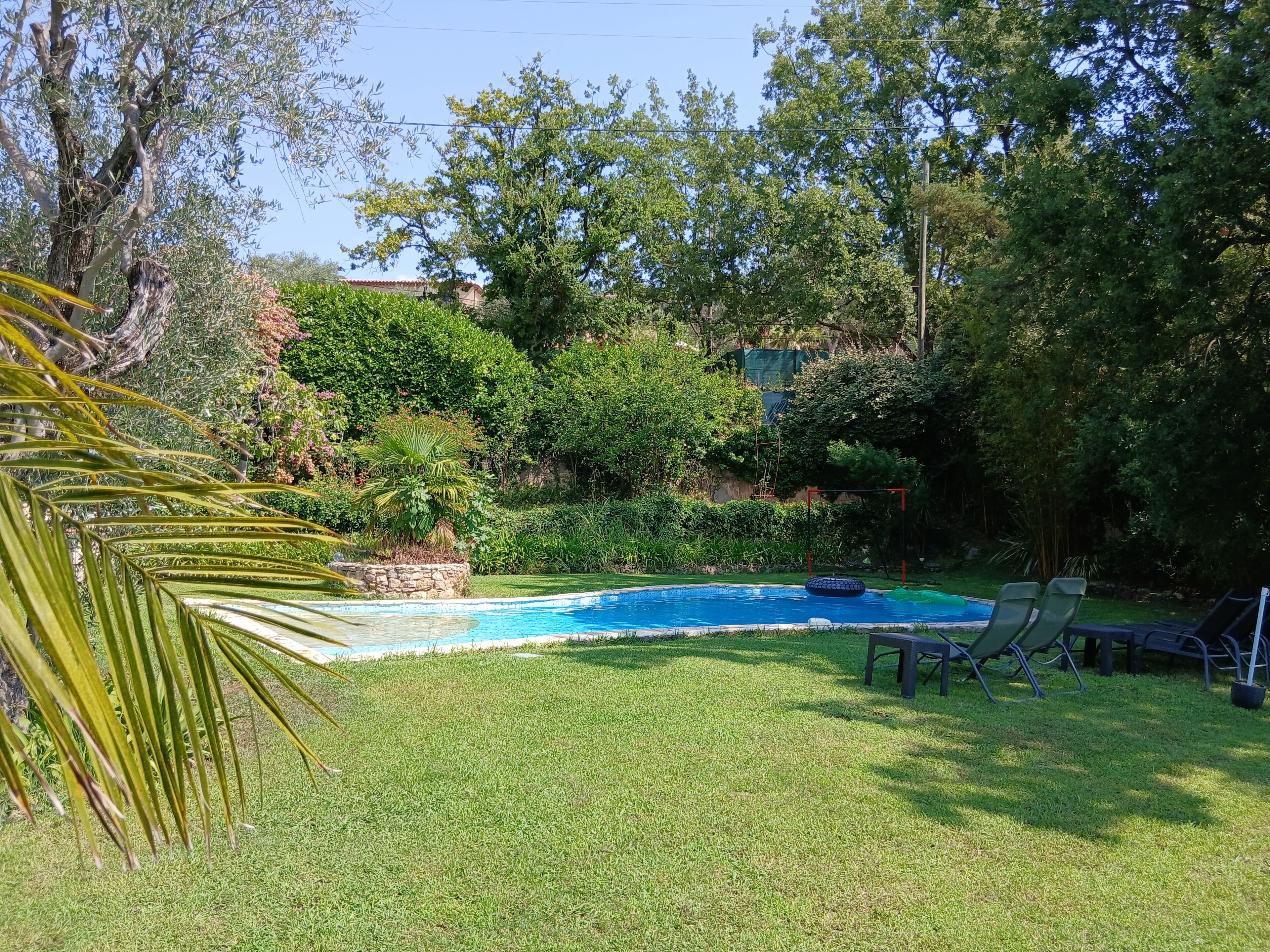 Un jardin à l’arrière de la maison, avec une piscine, entouré d’une végétation luxuriante et d’arbres.