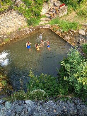 Une piscine naturelle bordée de pierres, entourée de verdure et accessible par un escalier en pierre.