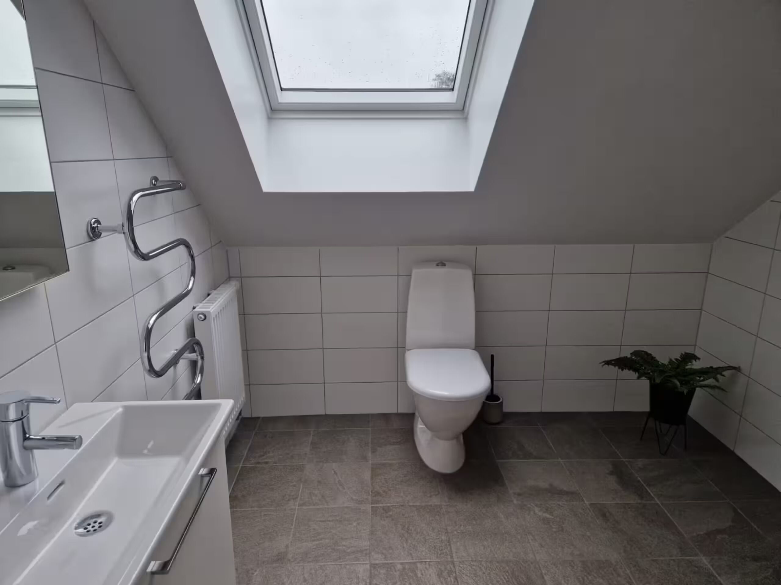 A modern bathroom with a skylight, a toilet, a sink, and a potted plant.