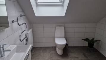 A modern bathroom with a skylight, a toilet, a sink, and a potted plant.