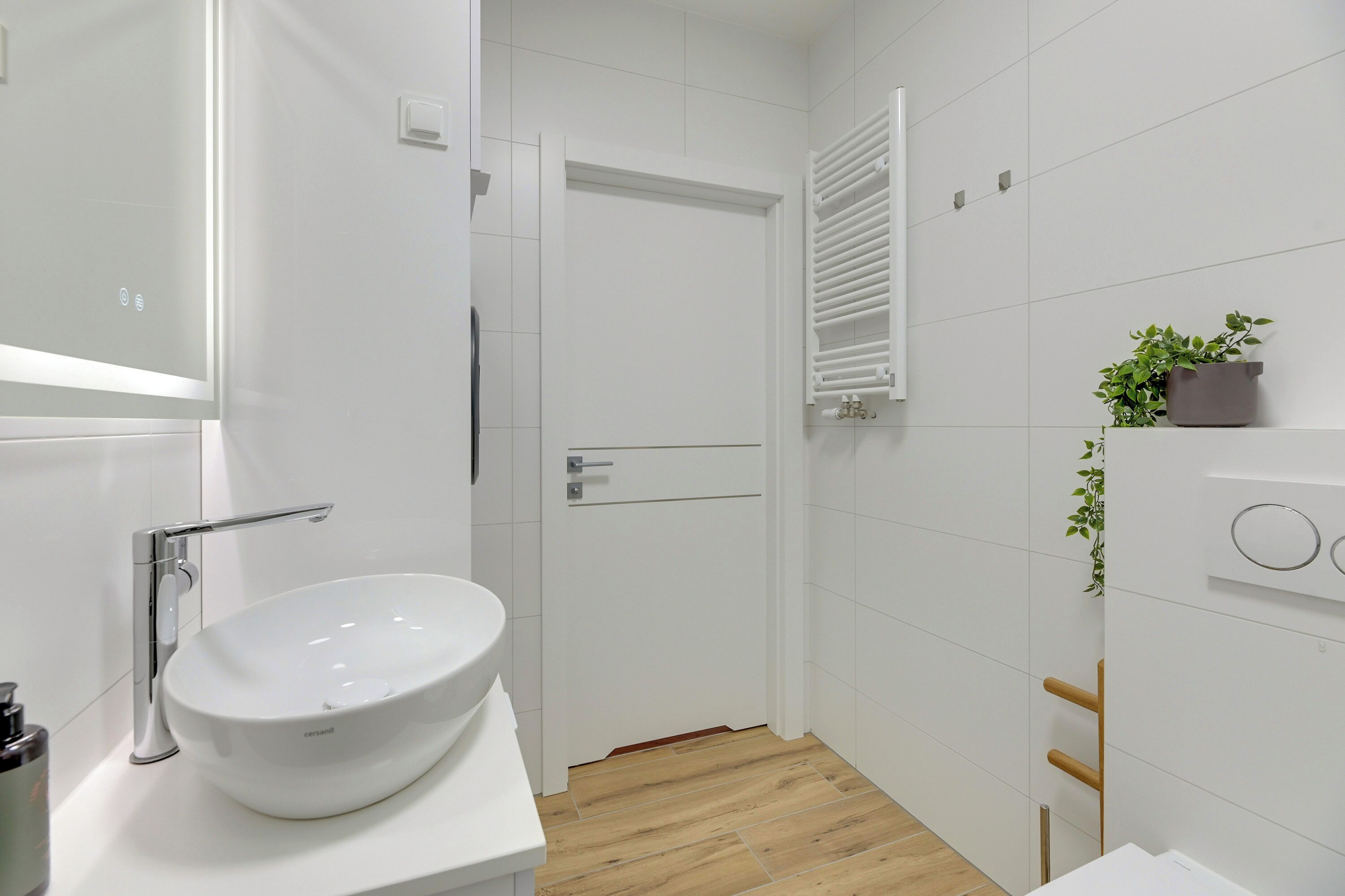 Un baño moderno con un lavamanos blanco, un espejo, zona de ducha y una planta en maceta.
