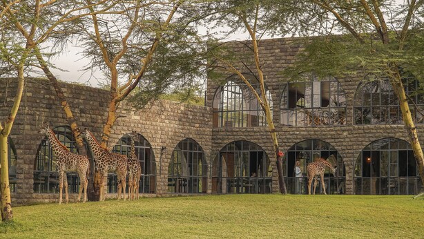 A building with arched windows and a grassy area with giraffes. - Giraffe Manor Tanzania (Arusha)