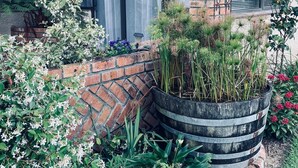 Premium Cottage, Patio, Garden View | Terrace/patio - The Stables (Gqeberha)