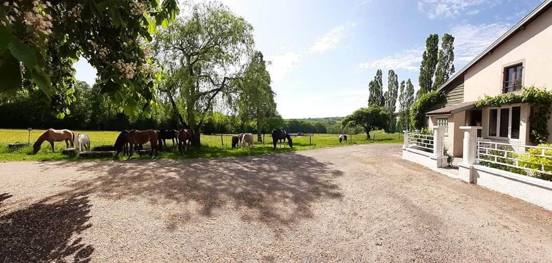 A stable with horses, a gravel driveway, and a building with a porch.