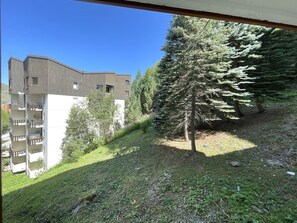 A multi-story building with balconies, a grassy slope, and a large coniferous tree. - (BO.421) Comfortable studio, right at the slopes in 3 Vallées (Les Menuires)