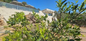 A modern building with a glass facade, surrounded by olive trees and a stone wall. - Eliá Luxury Villa with a Jacuzzi and Privacy, in the Heart of Crete (Kalonichti)