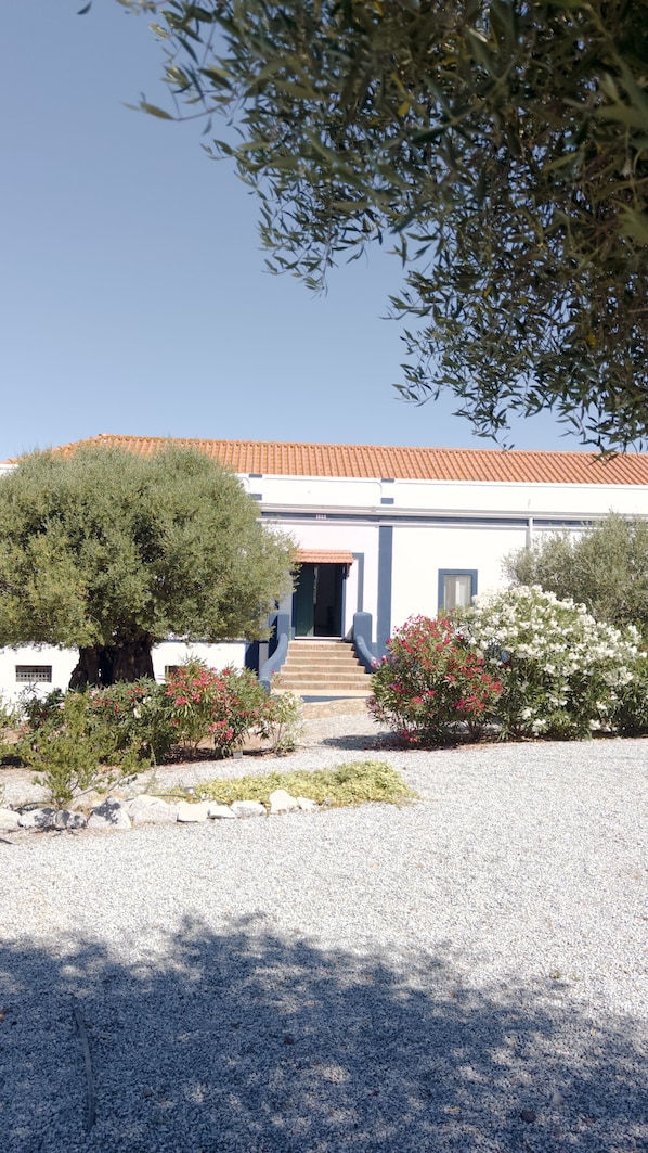 A building with a tiled roof, a gravel driveway, and a staircase leading to the entrance.