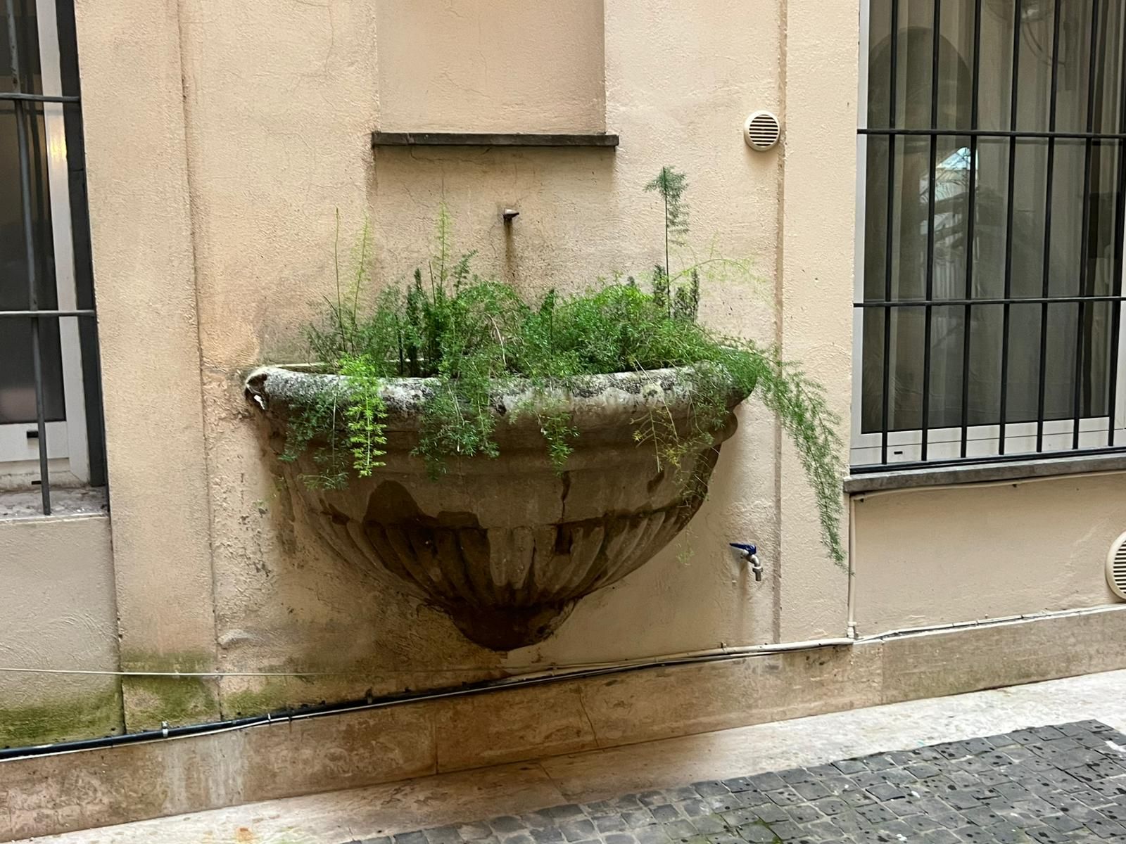 Una jardinera de concreto con follaje junto a un muro.