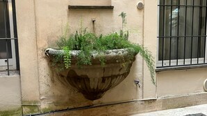 Vaso de concreto com vegetação em frente a uma parede de edifício.
