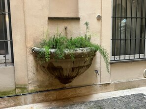 Una jardinera de concreto con follaje junto a un muro.