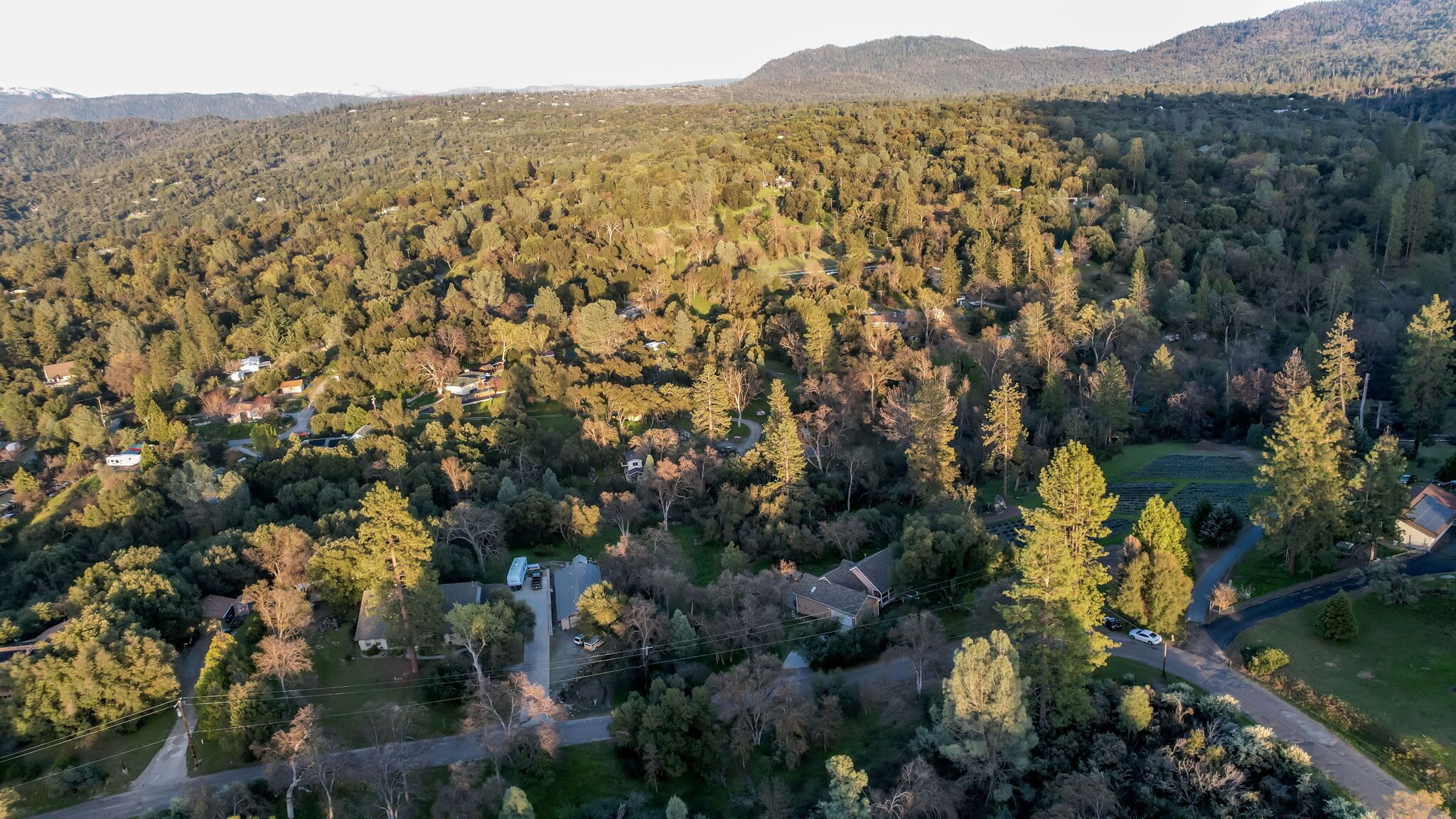 An aerial view of a residential area with houses surrounded by dense forest, roads, and a hilly backdrop.