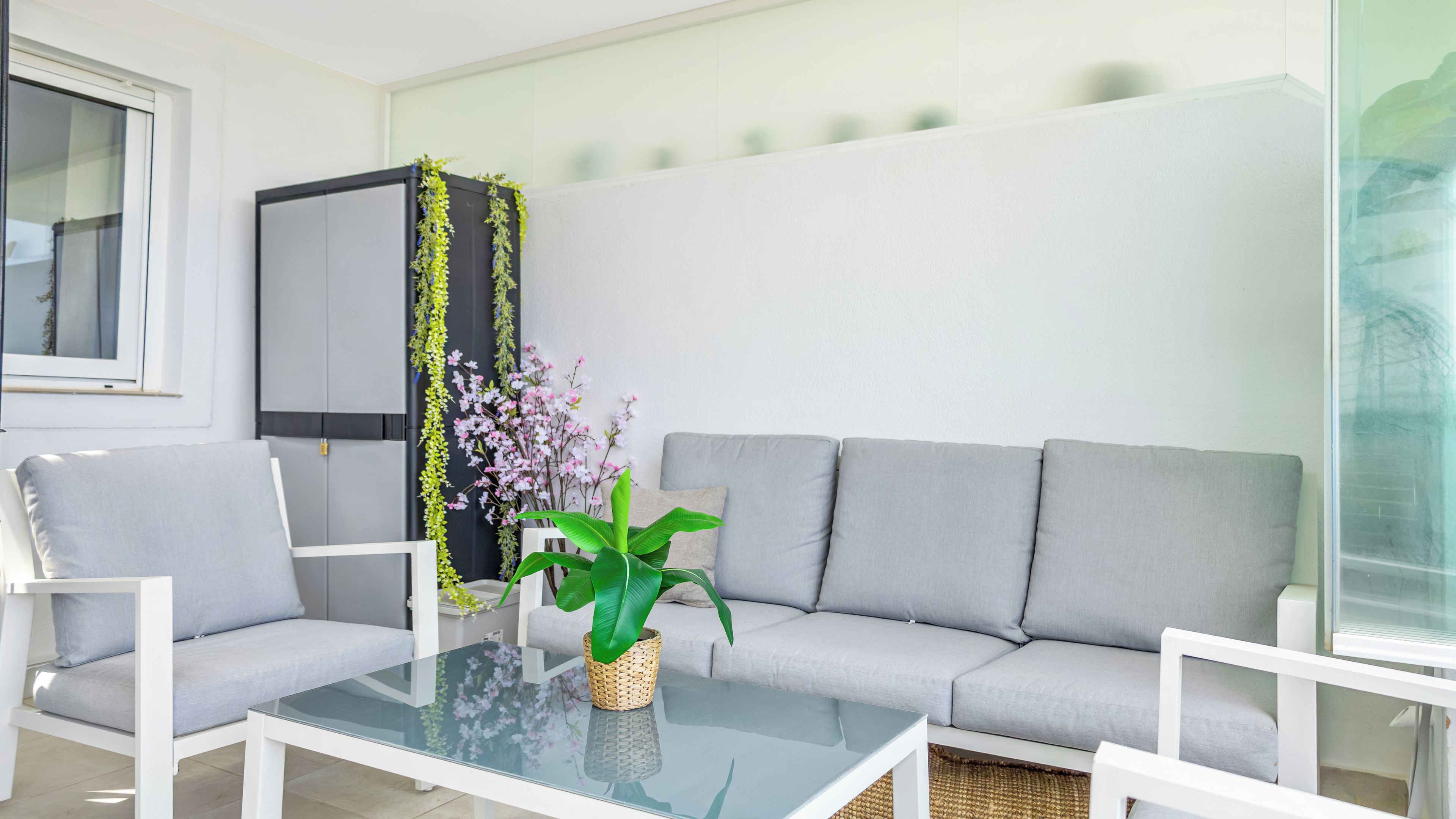 A modern living room with a grey sofa, white armchairs, a glass coffee table, and a potted plant.
