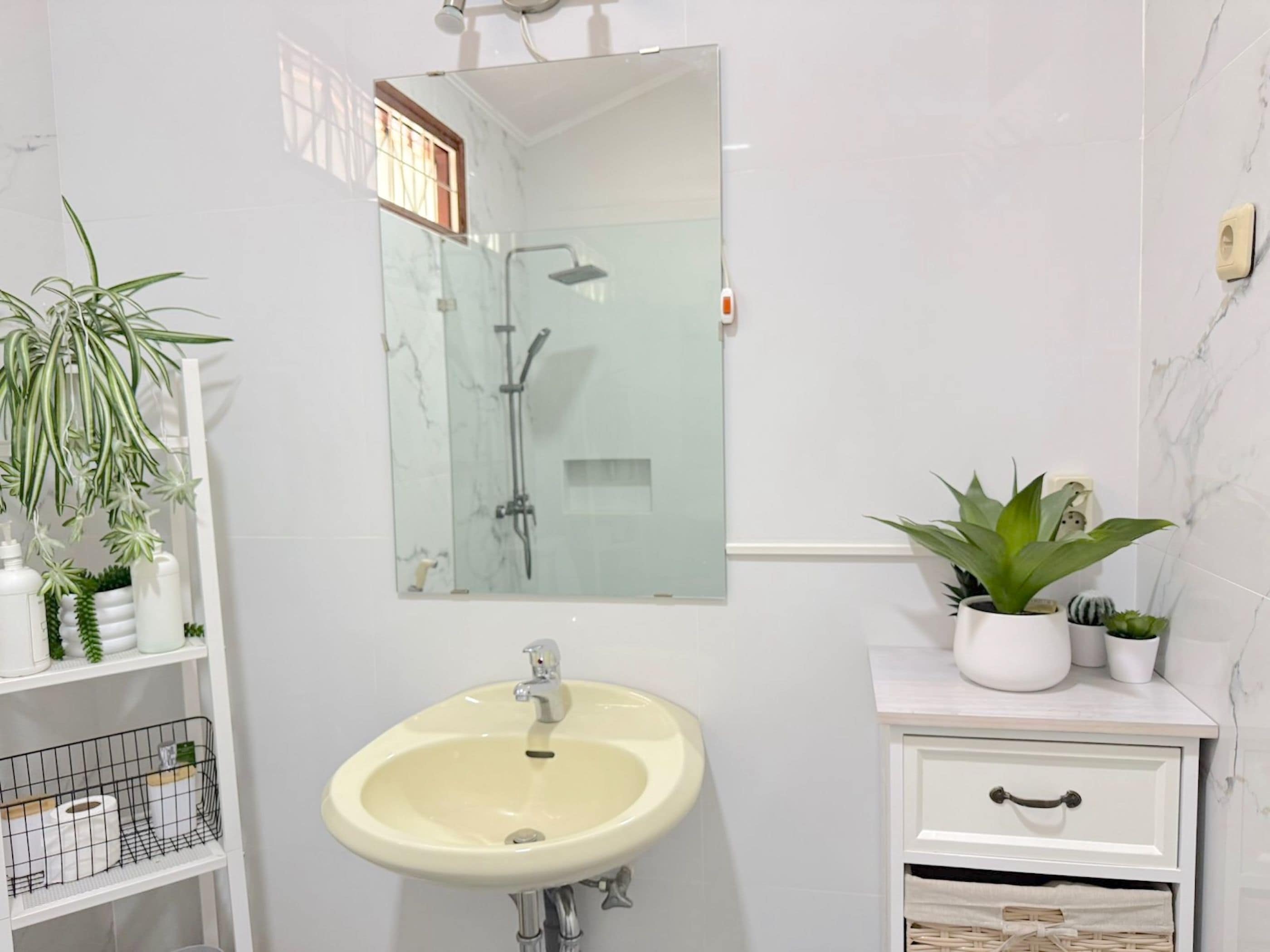 Une salle de bain avec un lavabo, un miroir, une douche et des plantes en pot.
