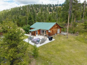 A cabin with a green roof, surrounded by a forested area.