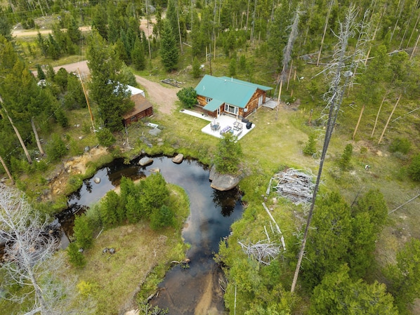 A cabin with a green roof, surrounded by dense forest, a small stream, and a dirt path.