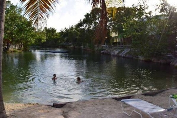 Un plan d’eau calme où nagent deux personnes, entouré d’arbres et bordé d’une zone sablonneuse avec un fauteuil de relaxation.
