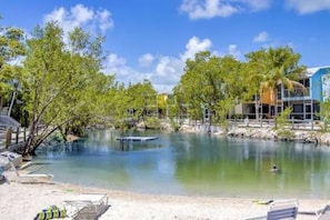 Une propriété située au bord de l’eau, dotée d’une piscine, de chaises longues et offrant une vue sur l’eau.