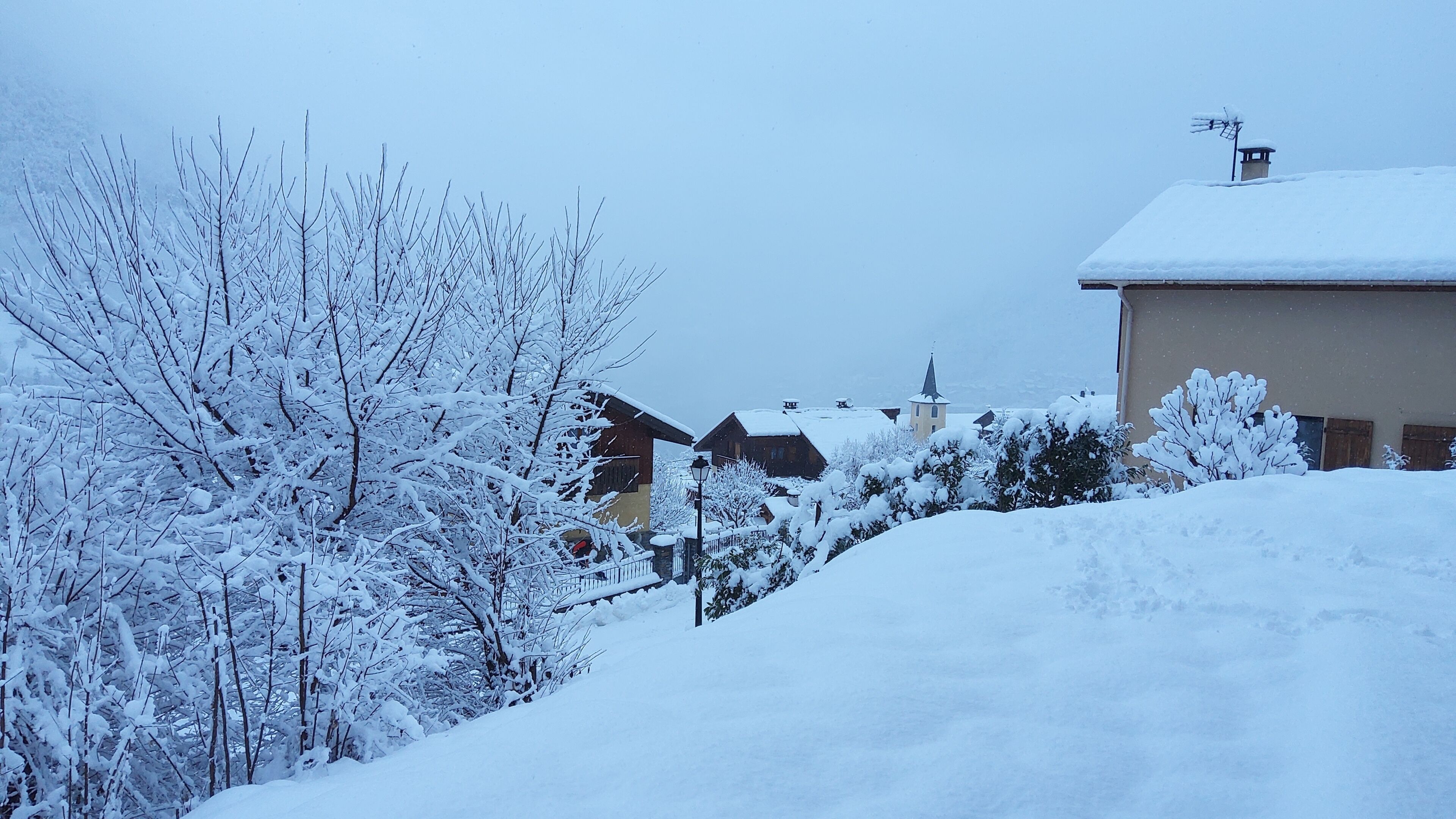 Paesaggio innevato con edifici e alberi spogli.