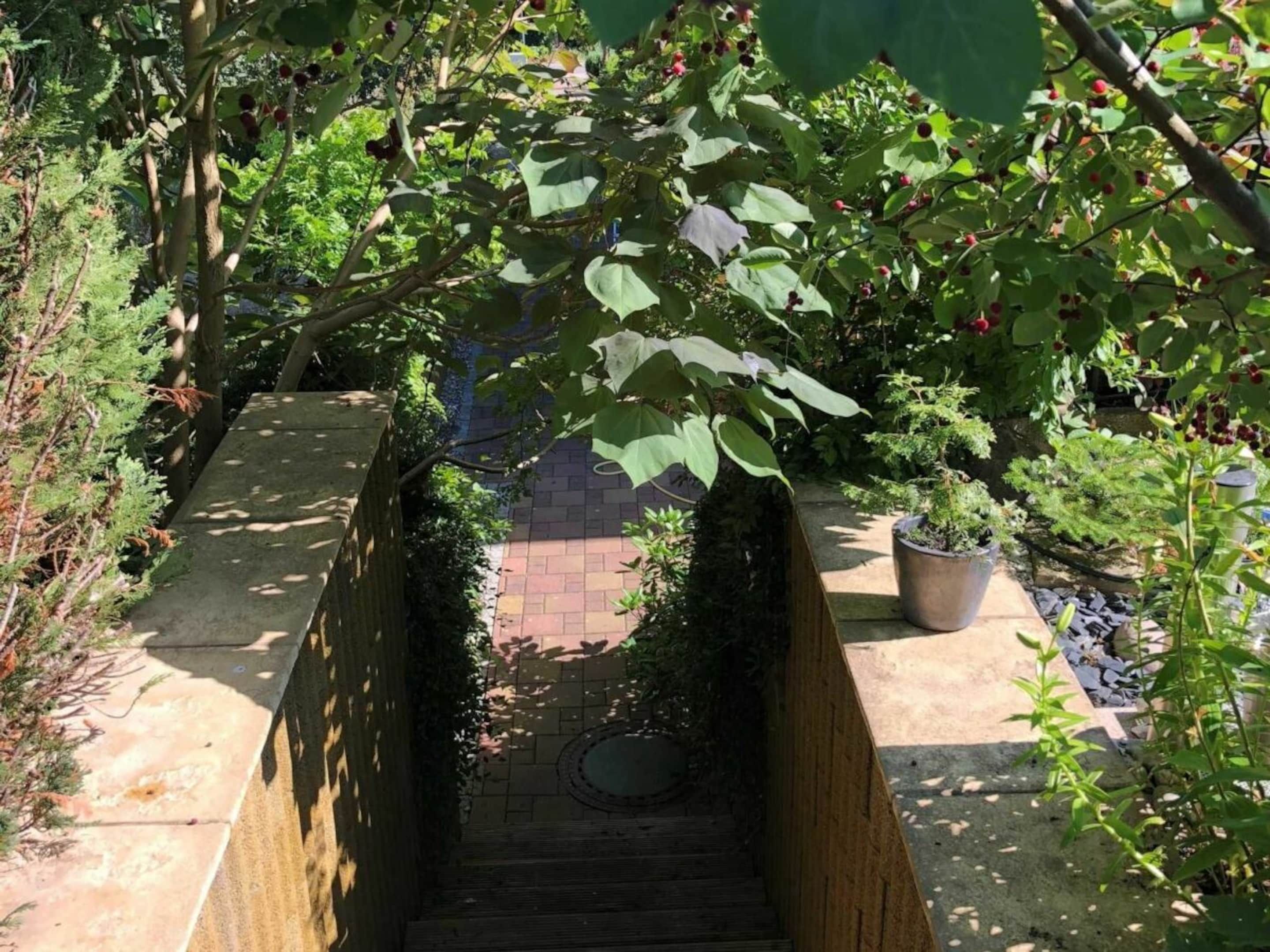 A stone staircase leading to a brick pathway surrounded by lush greenery and potted plants.