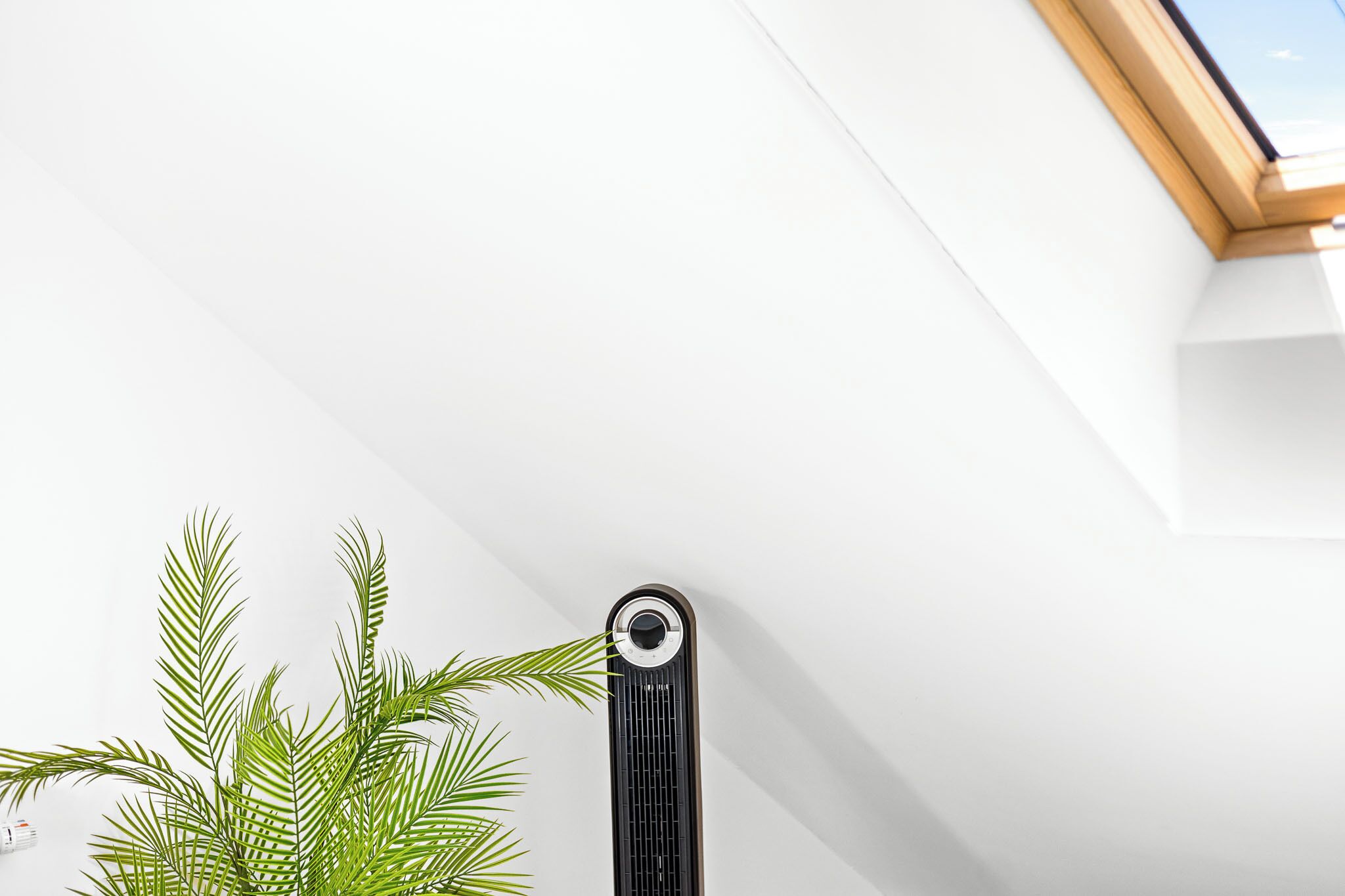 A room with a skylight, a radiator, and a potted plant.