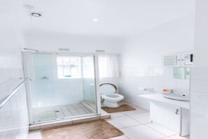 Bathroom - Delightfully peaceful 2-bedroom cottage, in a cul-de-sac in leafy Mount Pleasant (Harare)