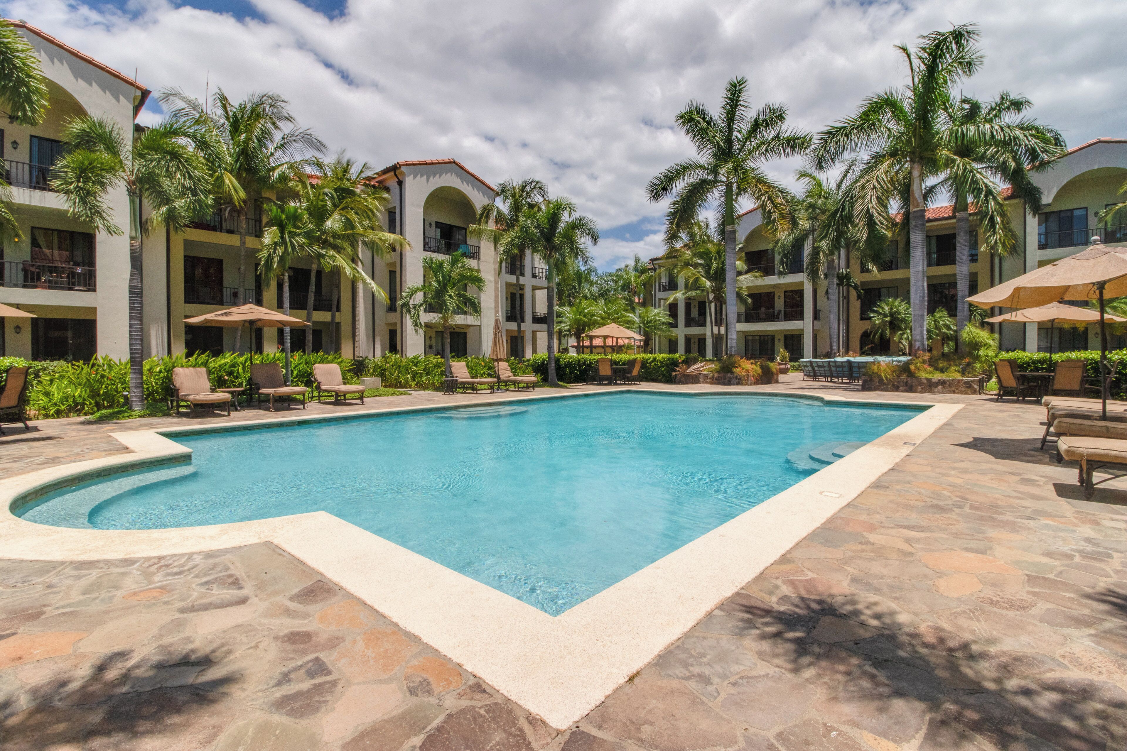 A resort pool area with a clear blue pool, lounge chairs, and palm trees.