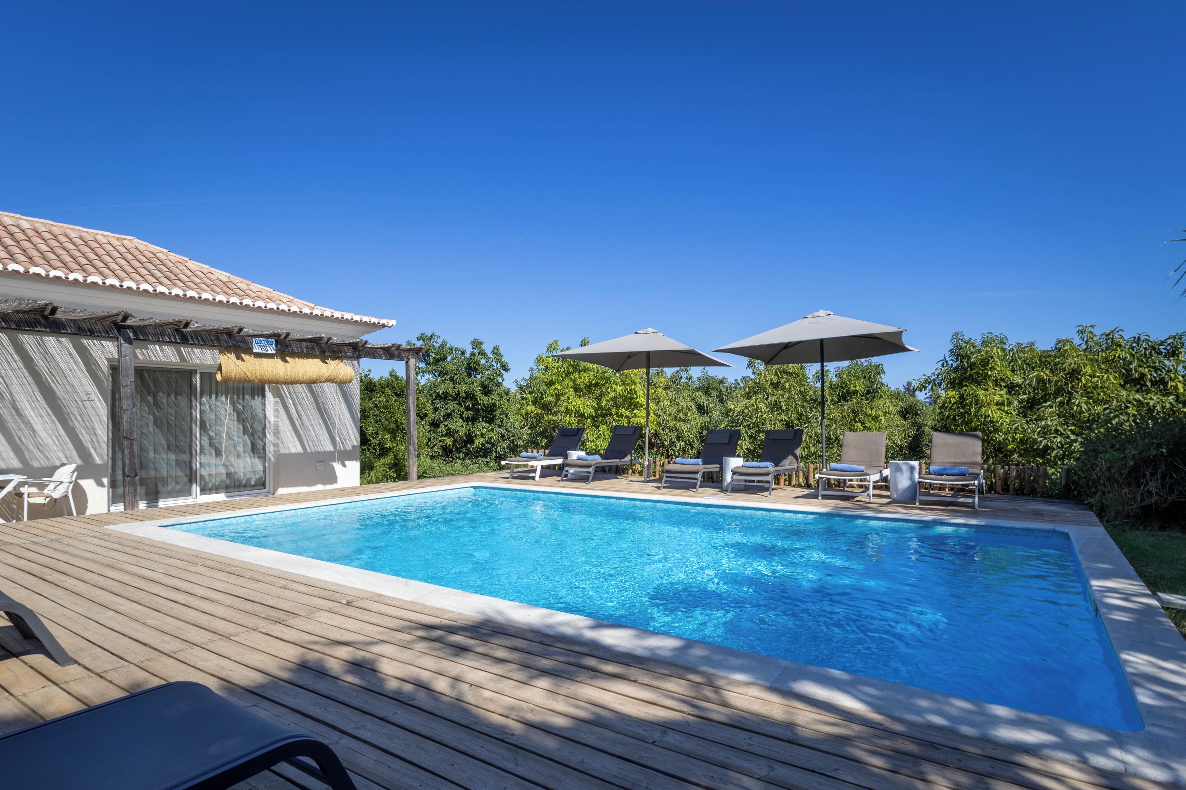 A swimming pool with lounge chairs and umbrellas, surrounded by greenery.