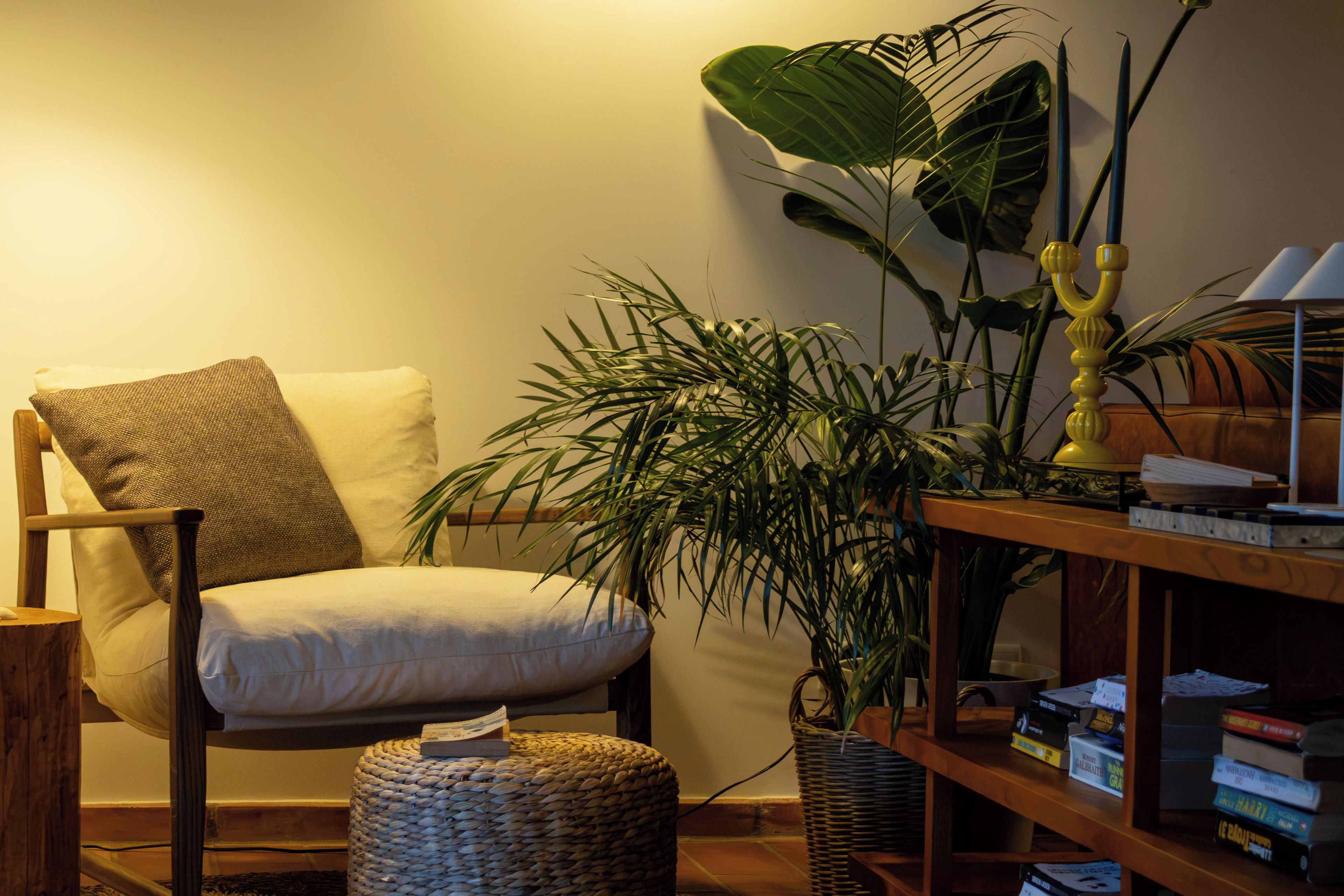 Een gezellige woonkamer met een comfortabele fauteuil, een grote groene plant, een boekenkast vol boeken en een bijzettafeltje met een lamp.