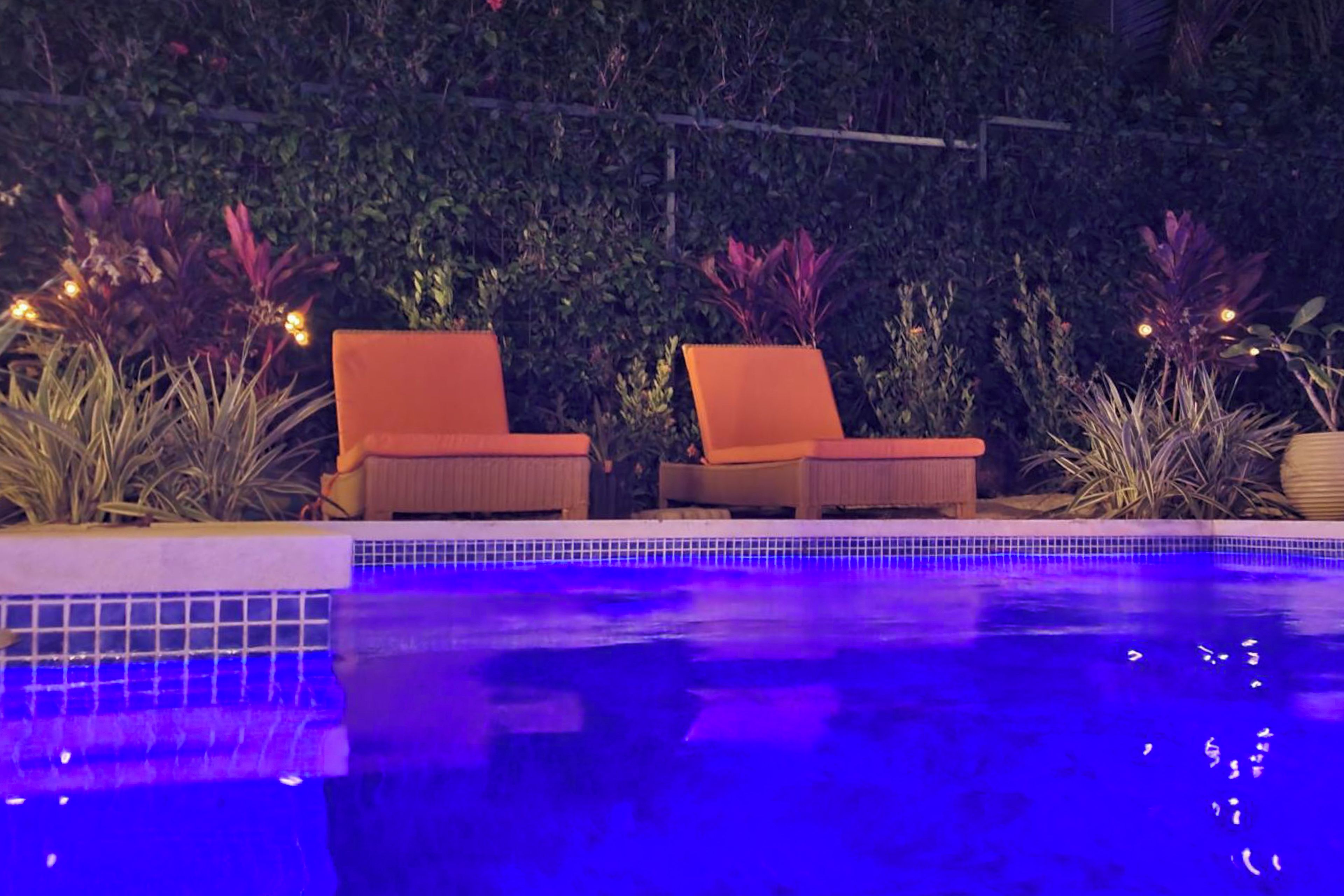 Une piscine avec deux chaises longues et une végétation luxuriante tout autour.