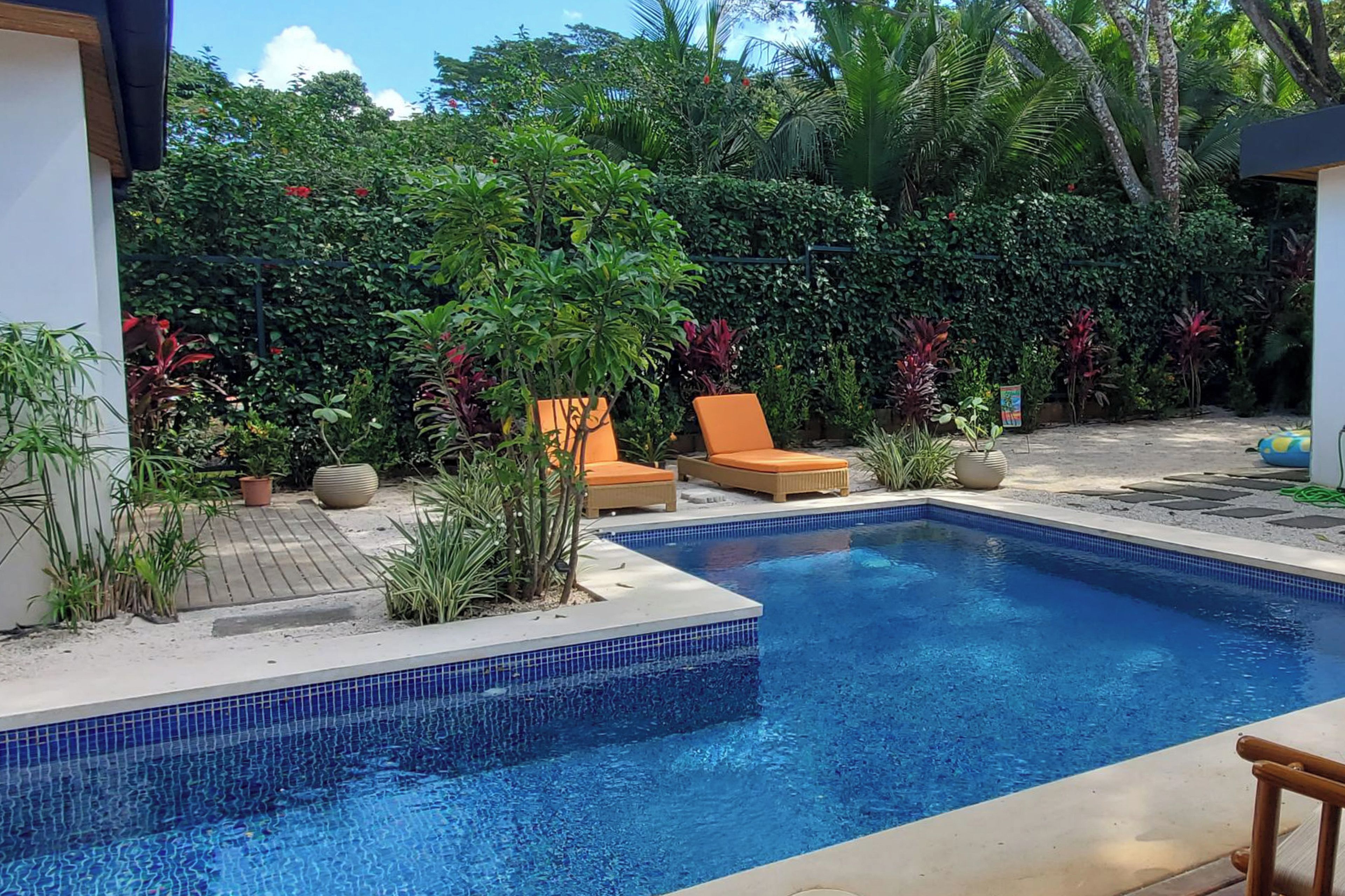 Una piscina con dos sillas reclinables y diversas plantas tropicales.