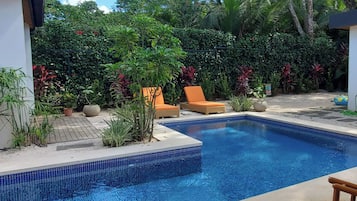 A swimming pool with two lounge chairs and a variety of tropical plants.