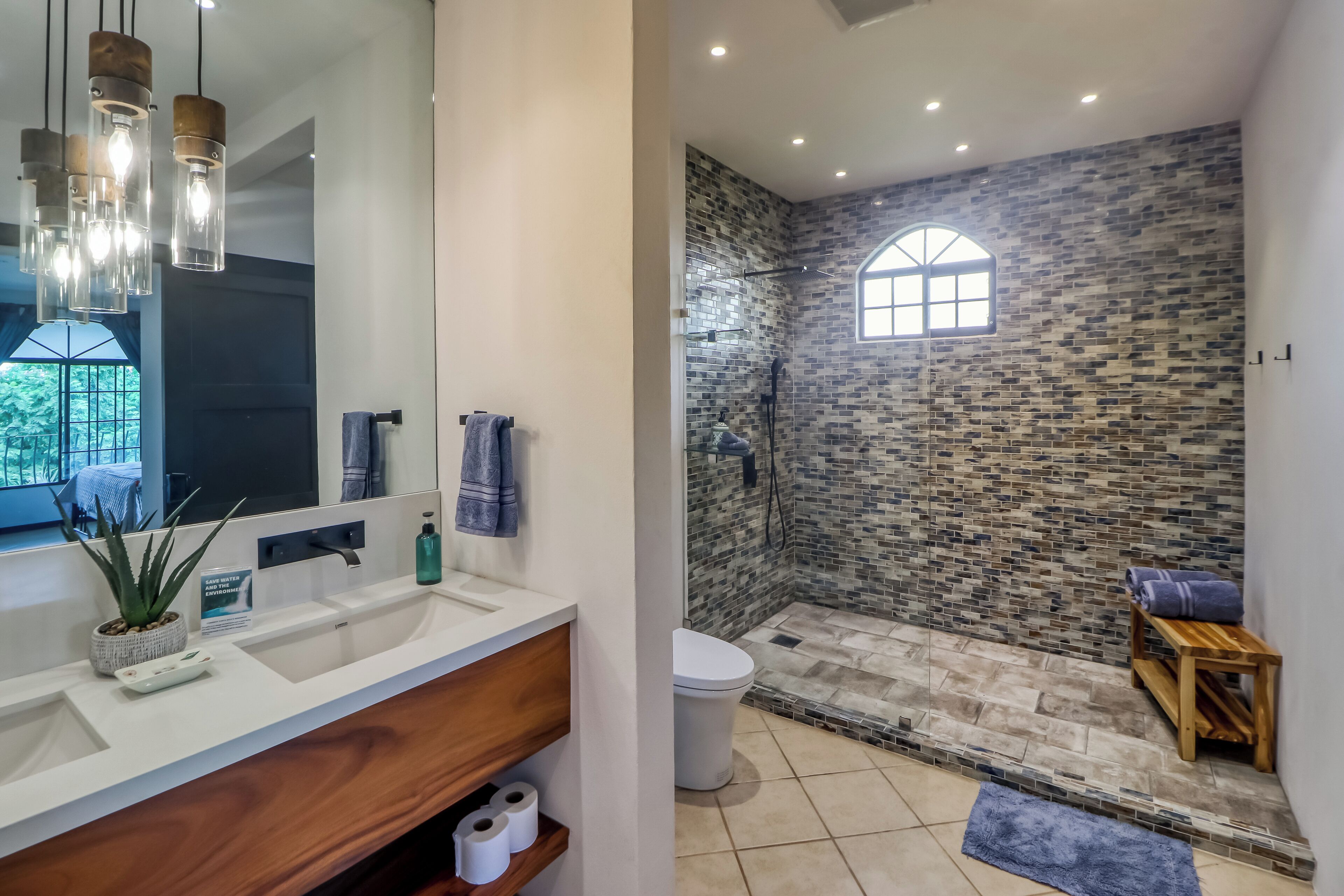 Un baño con lavamanos blanco, un espejo, una planta de aloe en maceta y un perchero para toallas.