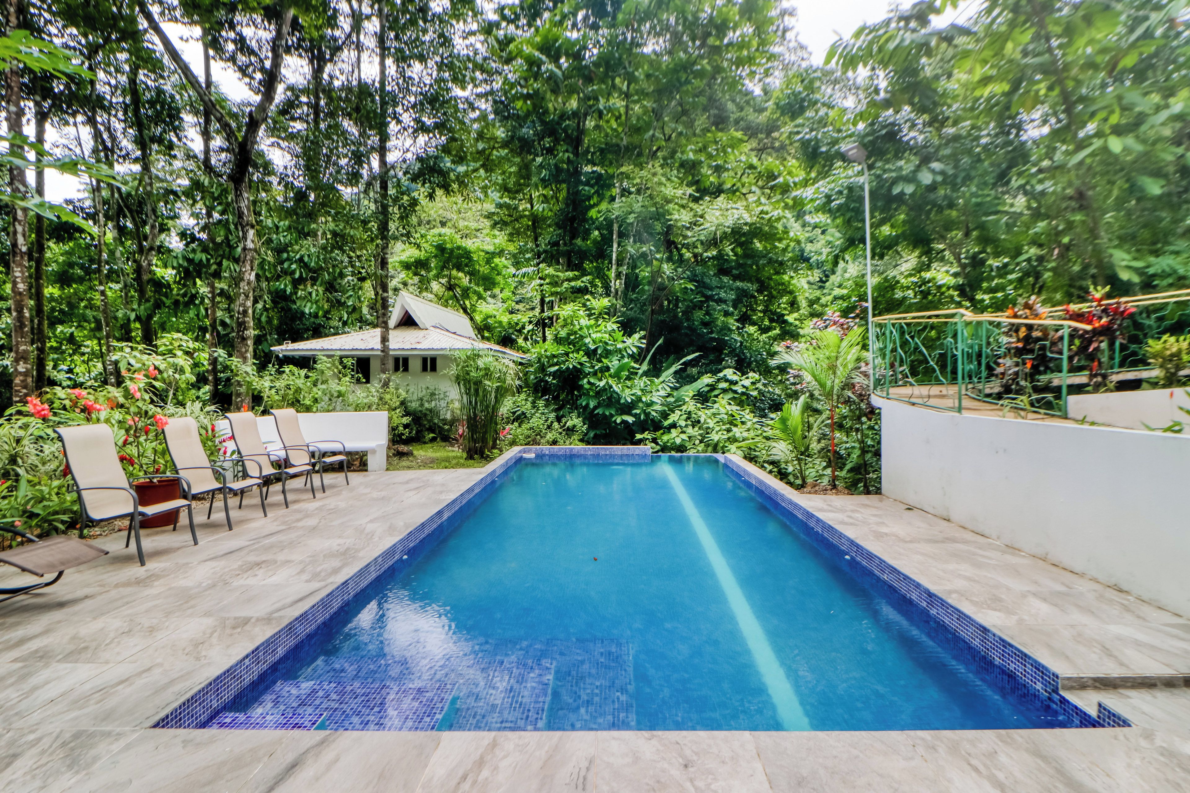 Una piscina rectangular con borde de azulejos, rodeada por una terraza de madera y una fila de sillones beige.