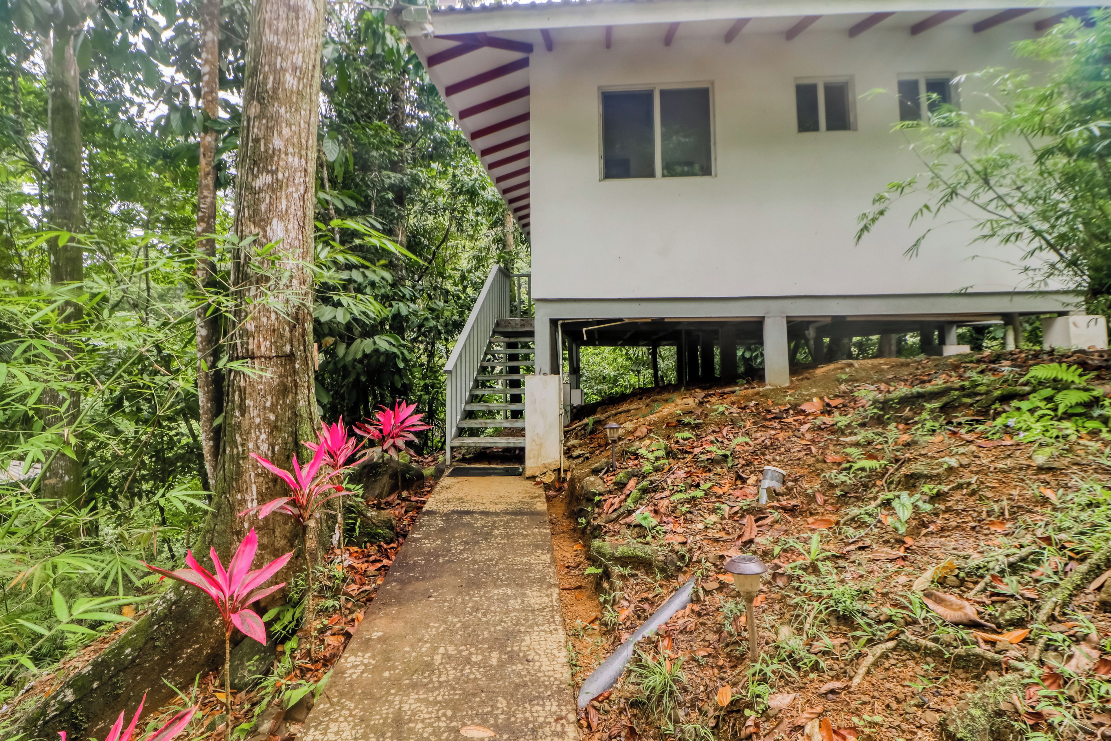 A pathway leading to a white building with a red roof, surrounded by dense greenery and a sloped terrain.